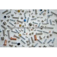 Micro Screws