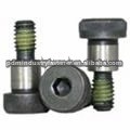 procote80 Nylon lock Screw